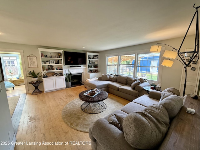 3321 Springbrook Ln, Lansing, MI 48917 - living area featuring light wood-type flooring and a fireplace