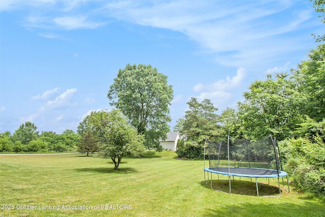2005 W Herbison Rd, Dewitt, MI 48820 - photo 6