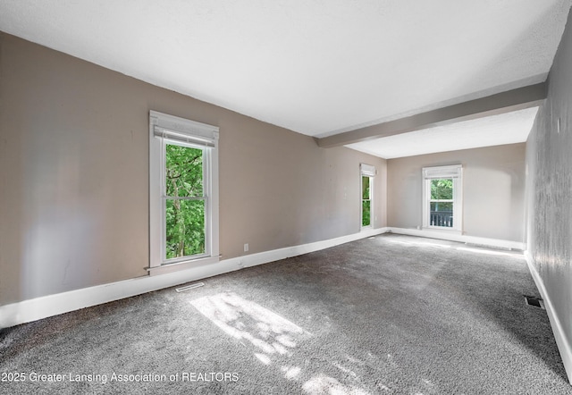 1407 W Ionia St, Lansing, MI 48915 - unfurnished room with plenty of natural light and carpet
