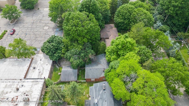 947 Sever Dr, East Lansing, MI 48823 - photo 42