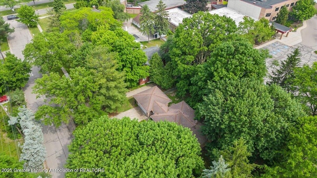 947 Sever Dr, East Lansing, MI 48823 - photo 43