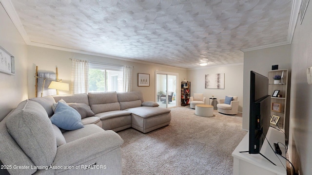 6916 Toboggan Ln, Lansing, MI 48917 - living room with carpet floors, a textured ceiling, and crown molding