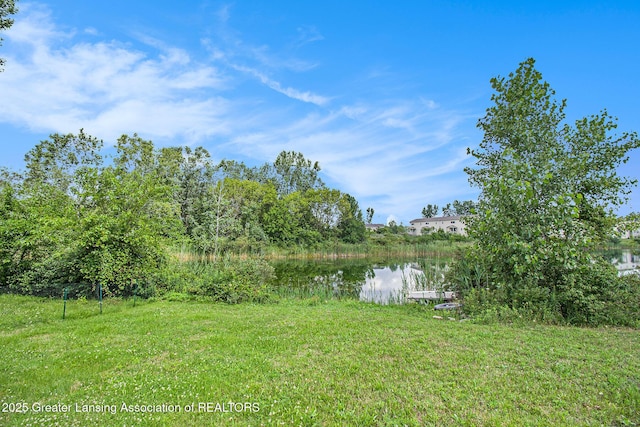 6093 Anchor Cv, Dimondale, MI 48821 - view of yard with a water view