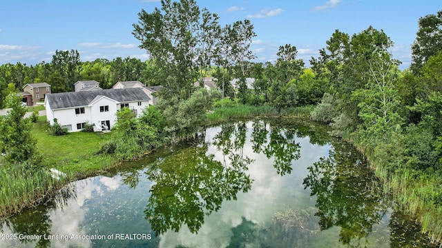 6093 Anchor Cv, Dimondale, MI 48821 - water view