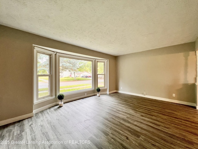 5401 Catalpa Dr, Lansing, MI 48911 - empty room with a textured ceiling, plenty of natural light, and wood finished floors