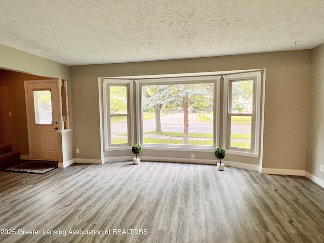 5401 Catalpa Dr, Lansing, MI 48911 - unfurnished living room featuring wood finished floors and a textured ceiling