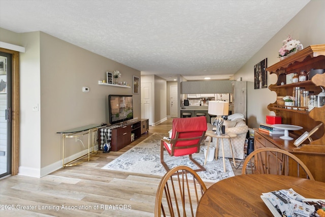 1457 E Pond Dr Unit 21, Okemos, MI 48864 - living area with light wood-type flooring and a textured ceiling