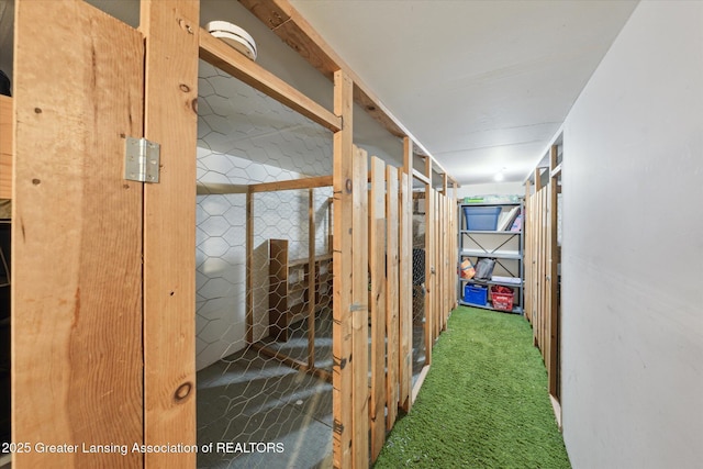 2926 Mount Hope Rd Unit 105, Okemos, MI 48864 - hallway with carpet flooring
