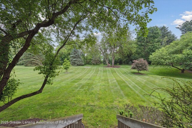 2926 Mount Hope Rd Unit 105, Okemos, MI 48864 - view of green lawn