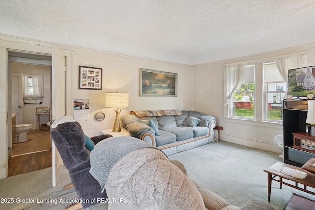 1213 N Woodworth Rd, Jackson, MI 49202 - carpeted living room featuring a textured ceiling