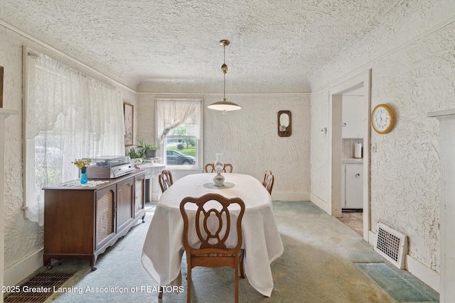 1213 N Woodworth Rd, Jackson, MI 49202 - dining space featuring a textured ceiling, a textured wall, and light carpet