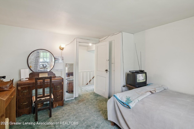 1213 N Woodworth Rd, Jackson, MI 49202 - view of carpeted bedroom