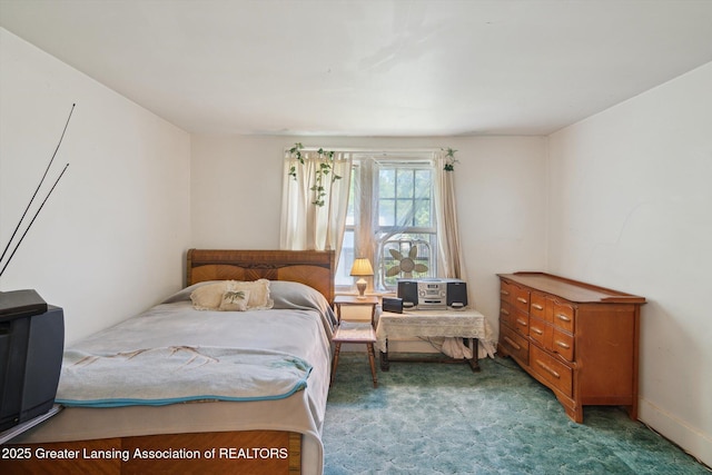 1213 N Woodworth Rd, Jackson, MI 49202 - view of carpeted bedroom