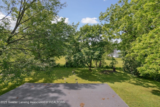 1213 N Woodworth Rd, Jackson, MI 49202 - view of green lawn
