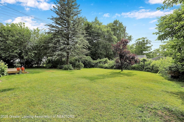 229 Julian Ave, Lansing, MI 48917 - photo 37