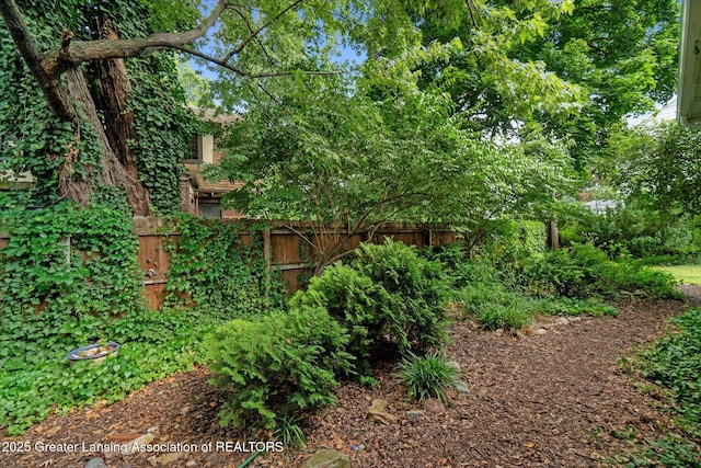522 Cowley Ave, East Lansing, MI 48823 - view of yard