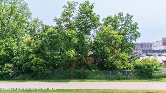 1309 Vine St, Lansing, MI 48912 - photo 43