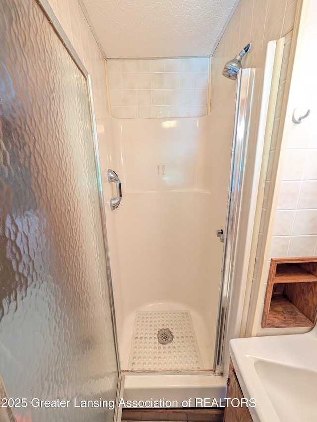 4963 E Portland Rd, Portland, MI 48875 - full bath with a shower stall, a textured ceiling, and vanity