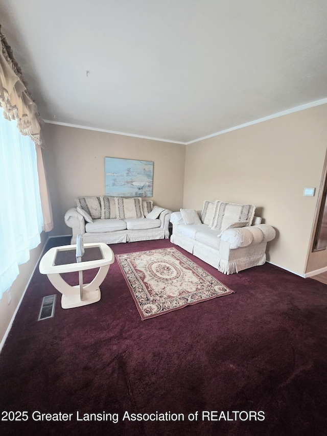 3701 Sumpter St, Lansing, MI 48911 - carpeted living room with ornamental molding