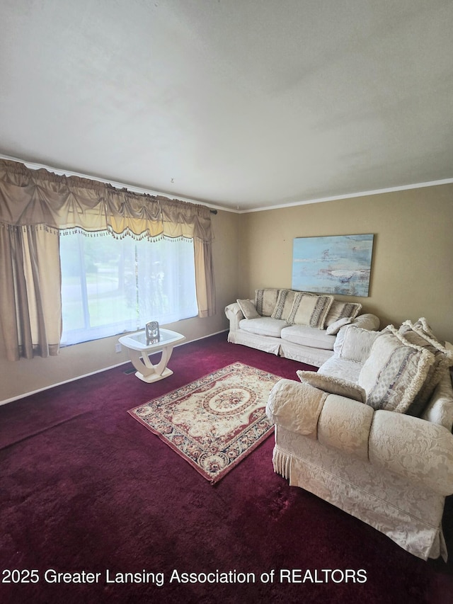 3701 Sumpter St, Lansing, MI 48911 - carpeted living room featuring crown molding