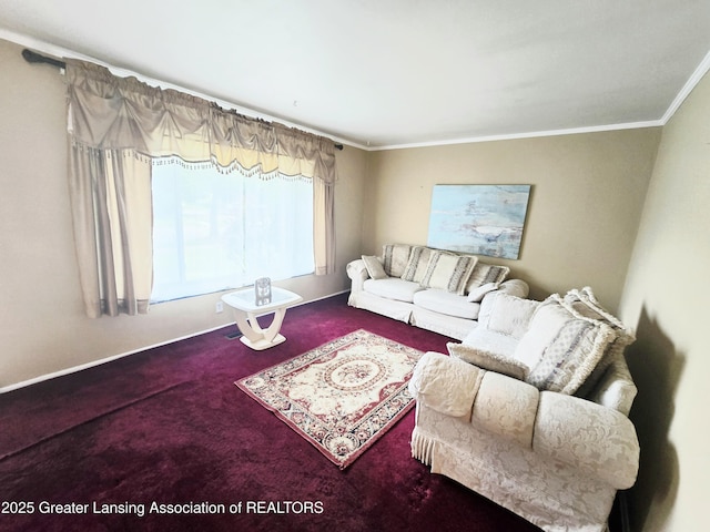 3701 Sumpter St, Lansing, MI 48911 - living area with carpet floors and ornamental molding