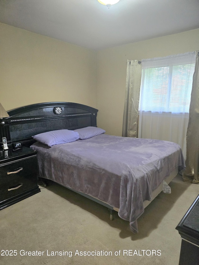 3701 Sumpter St, Lansing, MI 48911 - view of carpeted bedroom