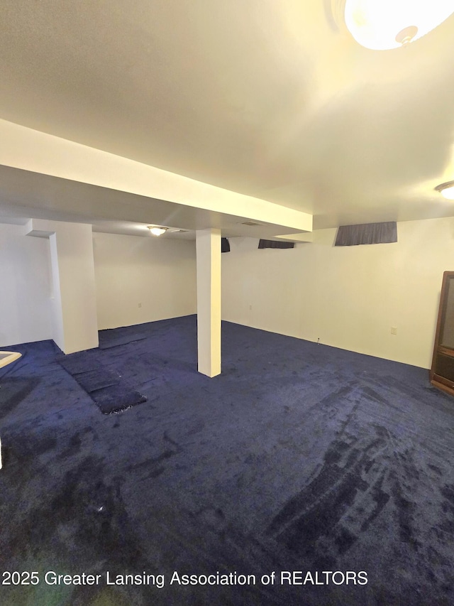 3701 Sumpter St, Lansing, MI 48911 - finished basement with carpet floors