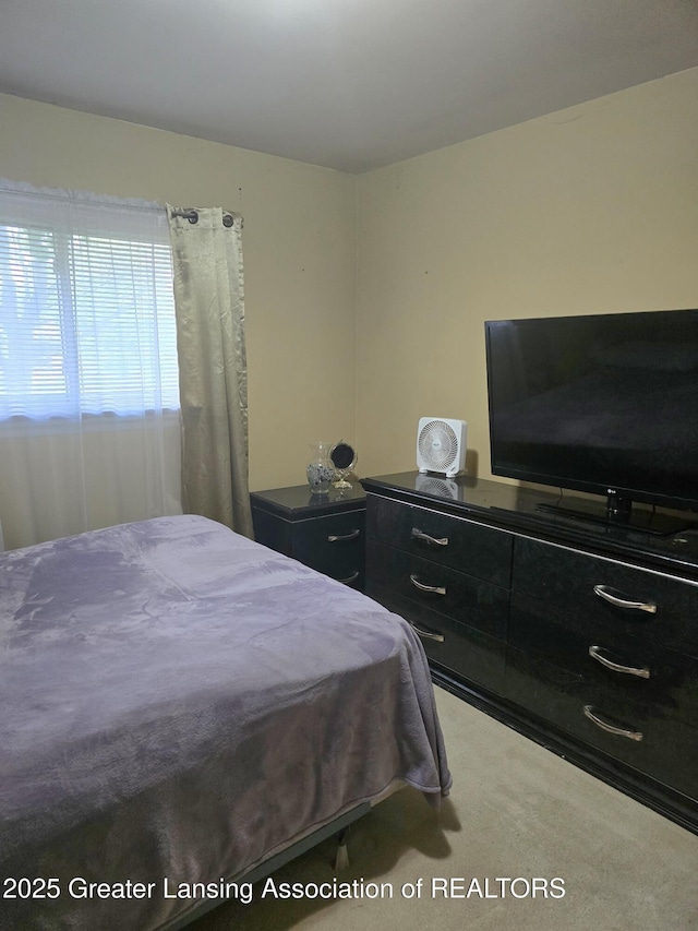 3701 Sumpter St, Lansing, MI 48911 - view of carpeted bedroom