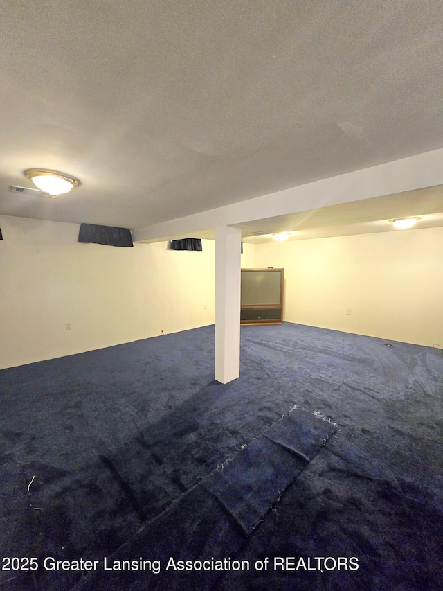 3701 Sumpter St, Lansing, MI 48911 - finished below grade area with dark colored carpet and a textured ceiling
