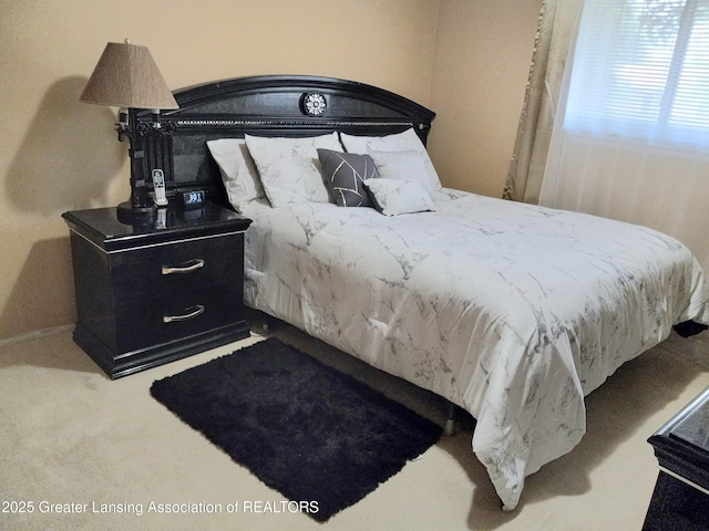 3701 Sumpter St, Lansing, MI 48911 - photo 13