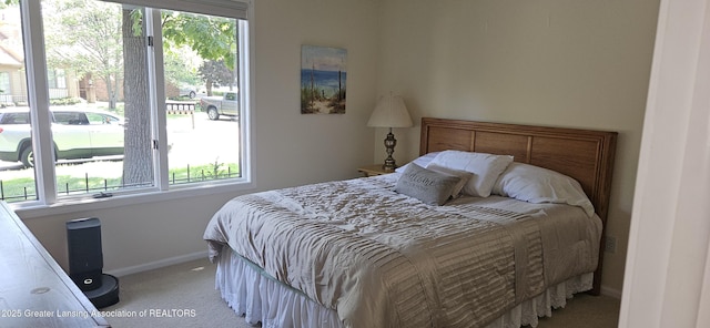 1945 W Danbury, Okemos, MI 48864 - bedroom with carpet floors and multiple windows