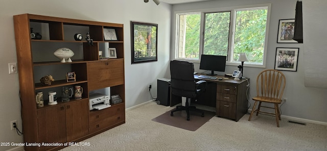 1945 W Danbury, Okemos, MI 48864 - office with light colored carpet