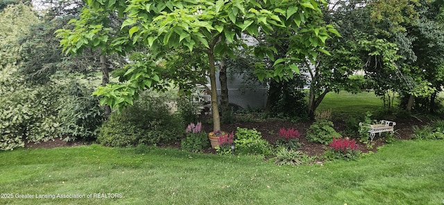 1945 W Danbury, Okemos, MI 48864 - view of green lawn