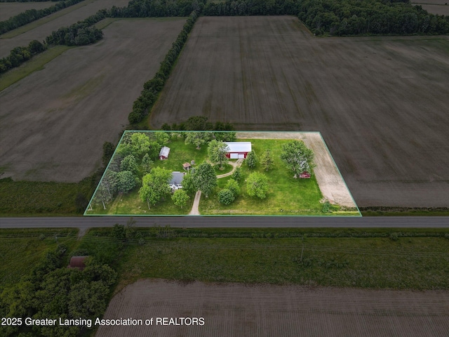 16544 S Chapin Rd, Elsie, MI 48831 - overview of rural landscape with property parcel outlined