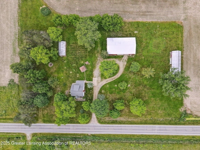 16544 S Chapin Rd, Elsie, MI 48831 - bird's eye view