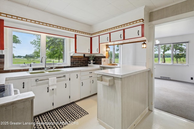 16544 S Chapin Rd, Elsie, MI 48831 - kitchen featuring light countertops, decorative backsplash, white cabinetry, crown molding, and light carpet