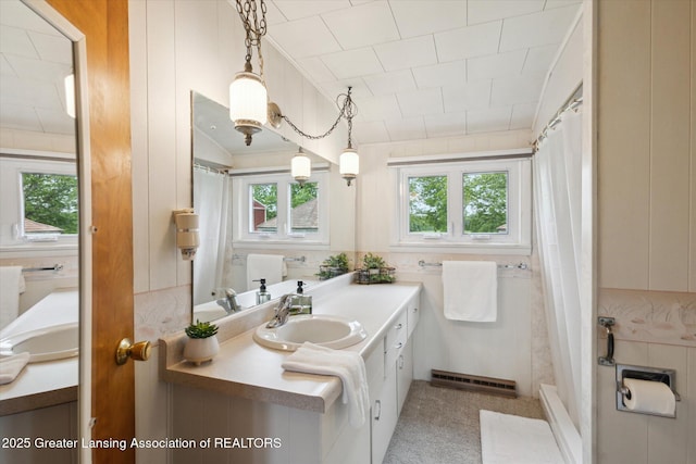 16544 S Chapin Rd, Elsie, MI 48831 - full bathroom featuring vanity, healthy amount of natural light, and a shower with shower curtain