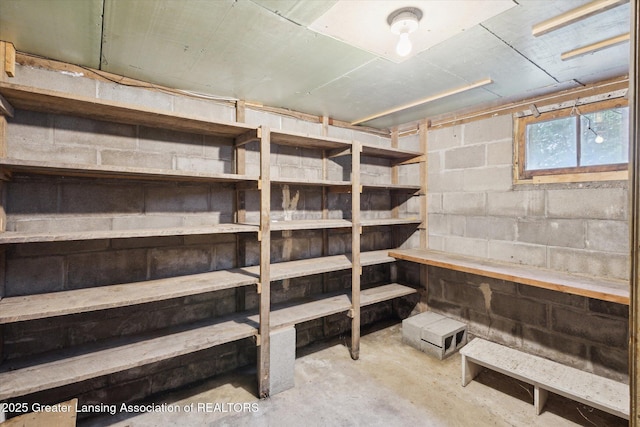 16544 S Chapin Rd, Elsie, MI 48831 - view of storage area