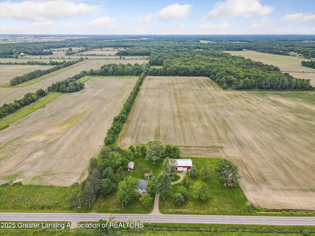 16544 S Chapin Rd, Elsie, MI 48831 - overview of rural landscape with abundant farmland