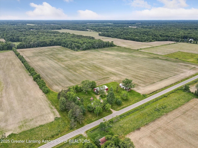 16544 S Chapin Rd, Elsie, MI 48831 - aerial view of sparsely populated area with extensive farmland