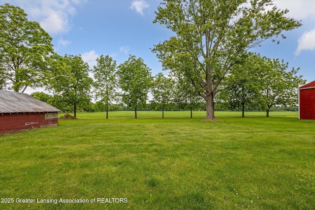 16544 S Chapin Rd, Elsie, MI 48831 - view of grassy yard