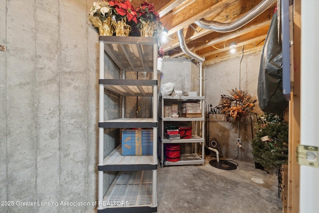 11195 Prestwick Dr, Lansing, MI 48917 - view of unfinished basement