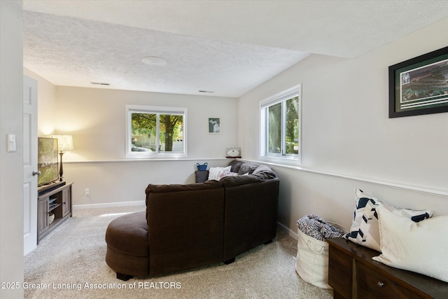 1539 Jacqueline Dr, Holt, MI 48842 - living area with carpet flooring, a textured ceiling, and healthy amount of natural light