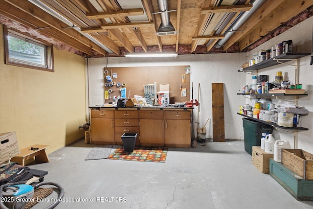 4925 Aspen Dr, Lansing, MI 48917 - below grade area with a workshop area