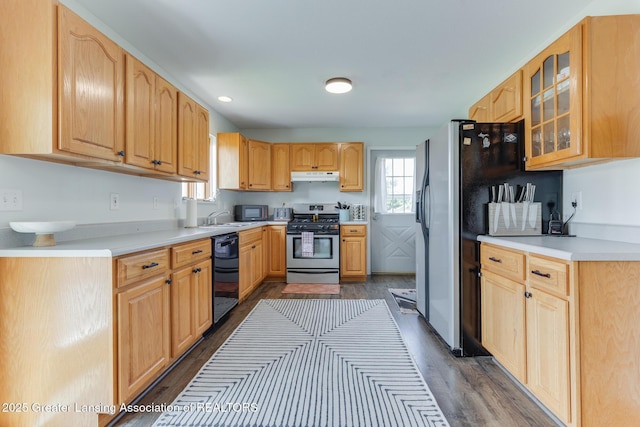 2520 Linn Rd, Williamston, MI 48895 - kitchen featuring stainless steel appliances, under cabinet range hood, dark wood-style floors, glass insert cabinets, and light countertops