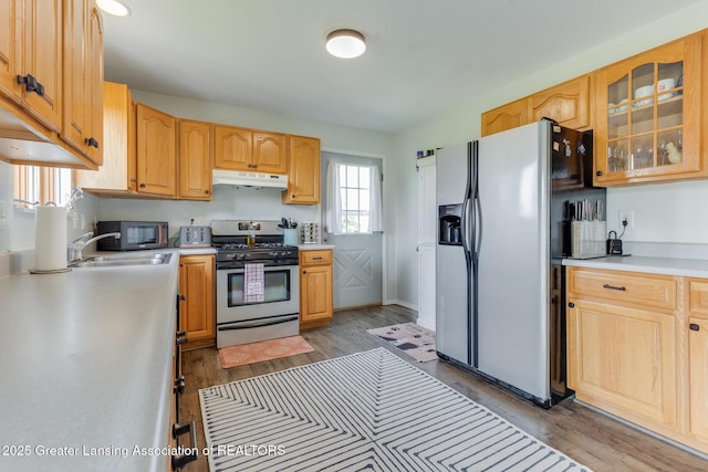 2520 Linn Rd, Williamston, MI 48895 - kitchen with appliances with stainless steel finishes, under cabinet range hood, wood finished floors, glass insert cabinets, and light countertops