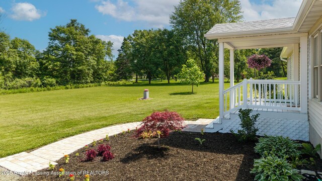2520 Linn Rd, Williamston, MI 48895 - view of green lawn