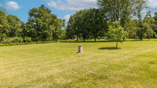 2520 Linn Rd, Williamston, MI 48895 - view of green lawn