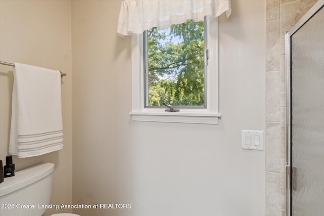 6252 N River Hwy, Grand Ledge, MI 48837 - bathroom with toilet and a shower stall