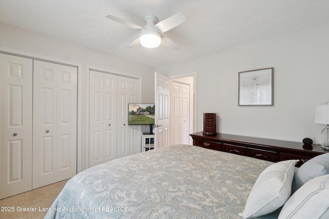6252 N River Hwy, Grand Ledge, MI 48837 - bedroom featuring two closets and ceiling fan